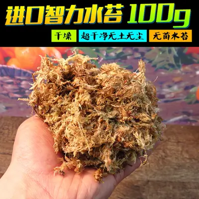 Natürliche Reptilienmatte mit Süßwassermoos zur Befeuchtung, 200g