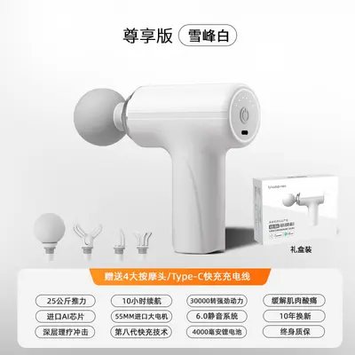 Mini Home Muscle Massage Gun, Portable, Gift Suitable - 7