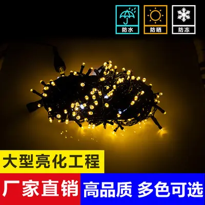 Black Cable Flashing LED String Lights, Waterproof for Outdoor Christmas Use