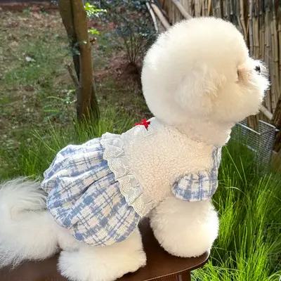 Dog Winter Dress, Fleece-Lined Lamb Wool Pumpkin Skirt
