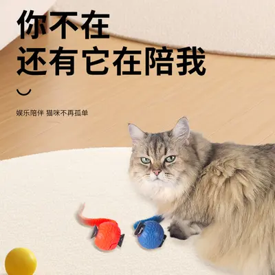 新款宠物逗猫球玩具猫猫智能滚滚球宠物猫自嗨专用用品玩具批发