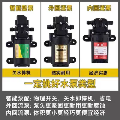 12V Agricultural Sprayer Diaphragm Water Pump, High Pressure Self-Priming Motor