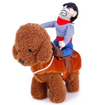 Lustiges Cowboy-Reiterkostüm für Hunde und Katzen