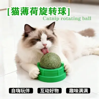 Döner kedi nanesi toplu kedi oyuncağı, stokta - 3