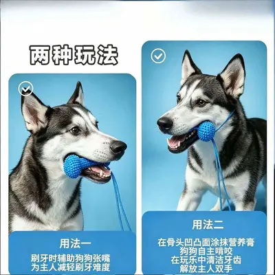 Köpekler için diş fırçalama yardımcısı, kauçuk çiğneme oyuncağı, diş taşı giderici - 4