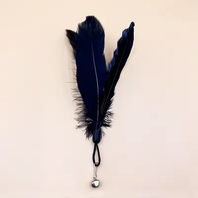 Cat Teaser Wand Toy with Replacement Feather Head and Bell - 8