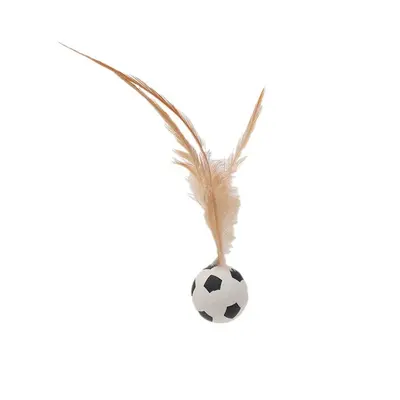 Cat Toy Feather Elastic Ball and Cat Teaser Wand Set - 6