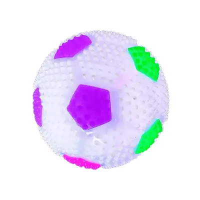 Durable Chew-Resistant Dog and Cat Ball Toy with Squeaker