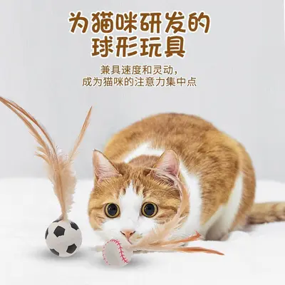 Cat Teaser Wand Elastic Top Feather Tooth Cleaning Fun Self-Play and Boredom Relief Cat Toy Pet Supplies Manufacturer Wholesale