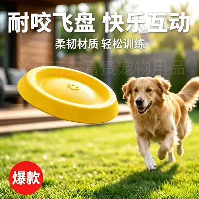 Unzerstörbare EVA-Hunde-Frisbee mit Zugring - 4