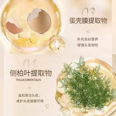 Customized Flower Beauty Polygonum Multiflorum Hair Care Lotion Shampoo Set, White-to-Black Wash Product Set, Hair Care Essential Oil Set - 5