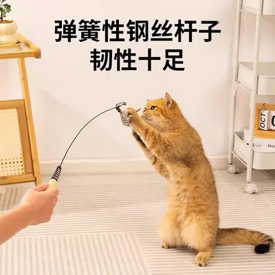 Cat Teaser Wand with Flying Insect Feather Replacement Head - 5