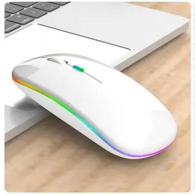 Kaynak Fabrikası RGB Çift Modlu Kablosuz Dizüstü Bilgisayar Faresi Düşük Gürültülü Type-C Şarj Stokta Toptan - 8