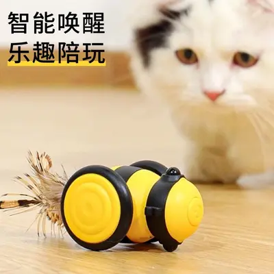 Elektrisches automatisches Katzenspielzeug mit Federangel - 2