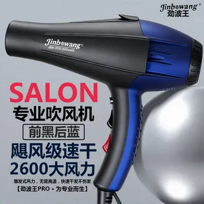 Jinbo Wang 9930 Professional Hair Dryer, Blue Light, Negative Ion - 11