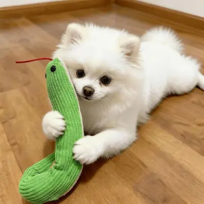 Head-Shaking Snake Dog Toy with Squeaker for Small and Medium Dogs - 7