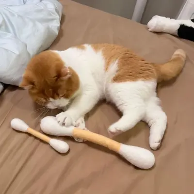 Wool Felt Cat Chew Toy Stick, Large - 3