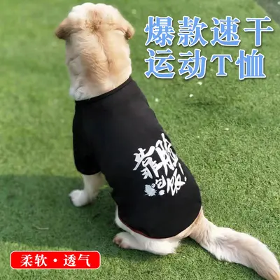 Yaz için kollu ince evcil hayvan kıyafeti, orta ve büyük ırk köpekler için nefes alabilen