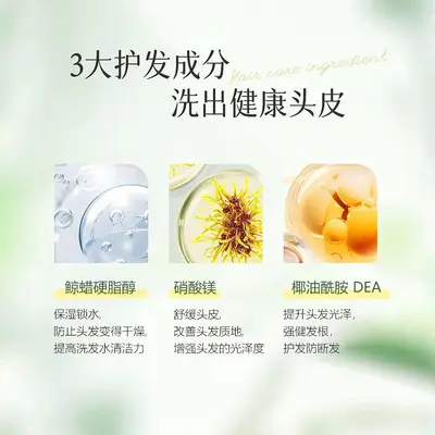 Lufei Essential Oil Smoothing Fragrance Shampoo Gentle Cleansing Oil Control Volumizing Smooth Shine Ylang-Ylang Essential Oil Shampoo - 4