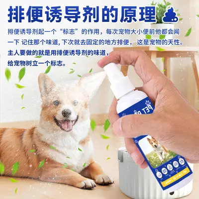 Haustier-Toilettentrainingsspray, Urin- und Kot-Positionierungsmittel