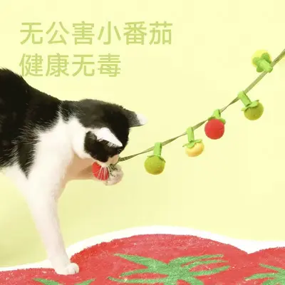 Bissfeste Tomaten-Katzenangel mit Glöckchen - 4