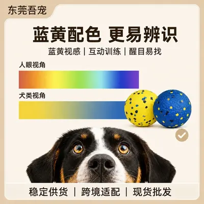 ETPU Pet Toy Ball, High-Elasticity Dog Ball, Molar Chew Ball