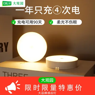 Daguanyuan Human Body Sensor Night Light, Rechargeable