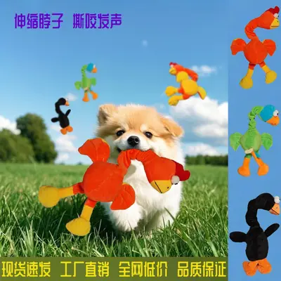 Squeaky Chick Dog Chew Toy, Bite-Resistant, Companion Toy