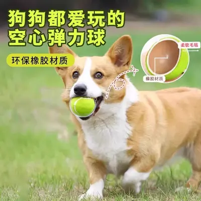 Tenis Topu Köpek Oyuncağı, Elastik Rebound Top, Dış Mekan Eğitim Topu