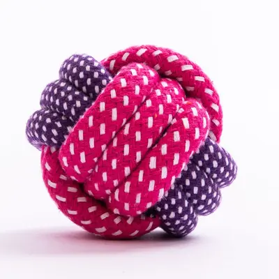10-Piece Pet Toy Set for Small and Medium Dogs - 8