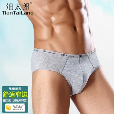 Herren-Slips aus Modal, mittlere Taille, hochelastisch, Plus Size