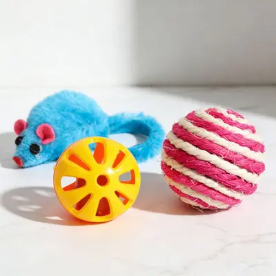 Kedi oyuncak seti, lazer kalem ve kedi nanesi toplu, yavru ve yetişkin kediler için - 7