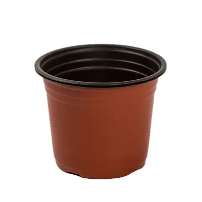 Two-Color Disposable Plastic Seedling Pot, Large, for Succulent Cuttings