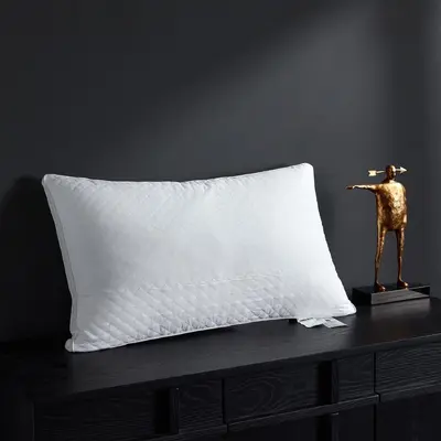 Five-Star Hotel Pillow Insert, Full Cotton, Anti-Feather, Washable - 12