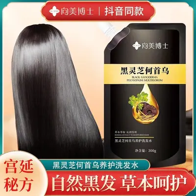 Polygonum Multiflorum Shampoo Black Reishi Oil Control Plant Care