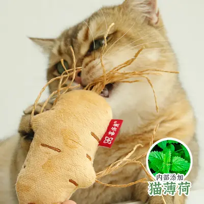 Gerçekçi ginseng bebek kedi oyuncağı, nane çıngıraklı, evcil hayvan oyuncağı - 3