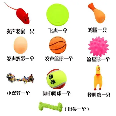 Dog Toy Set with Squeaky Ball, Durable Chew Toys - 7