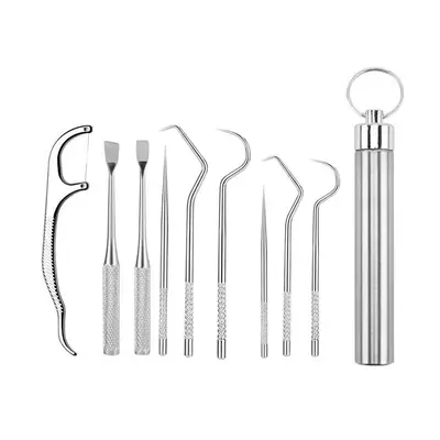 Stainless steel toothpick set with portable storage case - 12