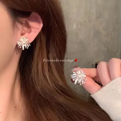 Koreanische Zirkon-Schleifenohrringe für Frauen, leicht luxuriös - 11