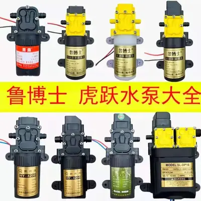 12V Agricultural Sprayer Diaphragm Water Pump, High Pressure Self-Priming Motor