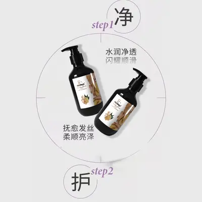 Japanese Ginger Shampoo with Ginger Juice, Oil Control and Volume - 5