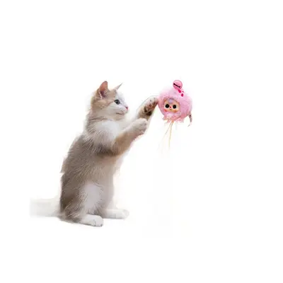 Tüylü Kedi Oyuncağı Kör Kutu, Sevimli Çizgi Film Figürlü