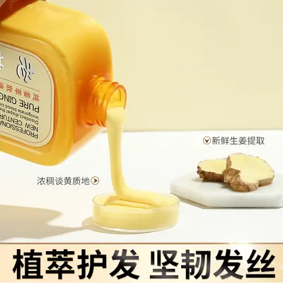 Xuangu Ginger Shampoo with Old Ginger Juice for Hair Salons - 5