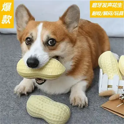 宠物玩具发声网球瓶子耐咬磨牙自嗨解闷互动咬不烂狗玩具宠物用品 - 11