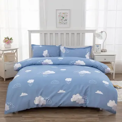 Brushed bedding single piece bedding set wholesale dormitory top and bottom sheets double bedding pillowcase bulk special treatment - 4