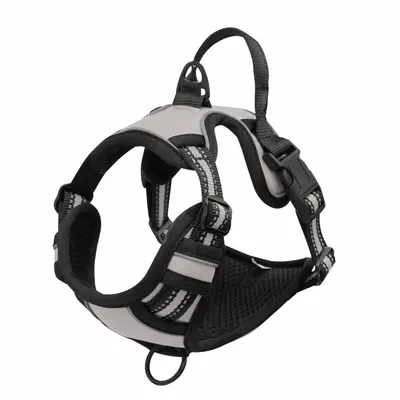 Reflective Nylon Webbing Harness for Large and Medium Dogs - 9