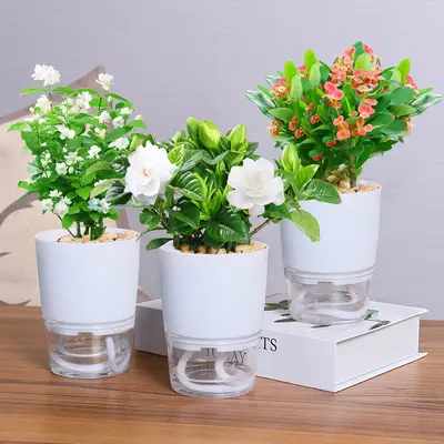 Transparent Double-Layer Self-Watering Planter, Large Diameter