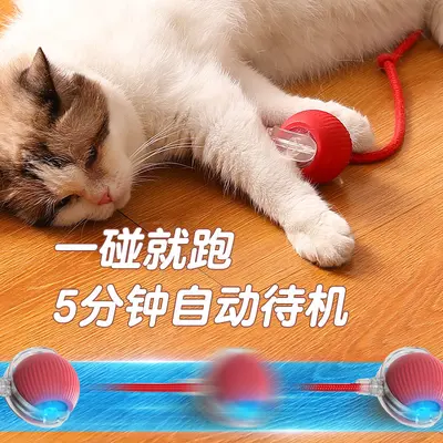 Smart Electric Rolling Cat Ball Toy with Rope for Cats and Dogs - 5