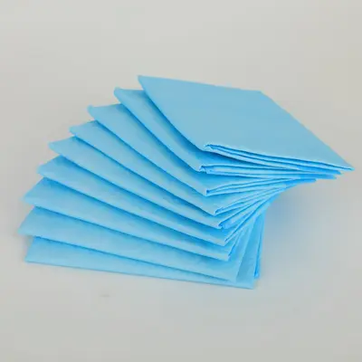 Thickened Deodorizing Disposable Dog Pee Pads, Multi-Absorbent