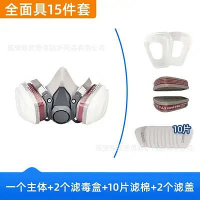 CE6200 Gas Mask with Dust Goggles, Protection Against Dust and Fumes - 8